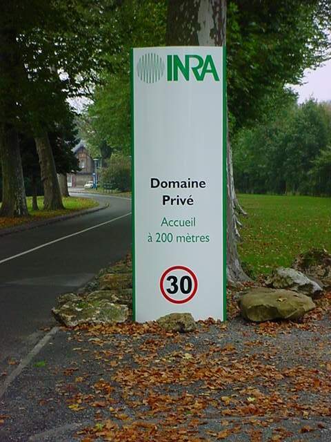 Pose signalétique